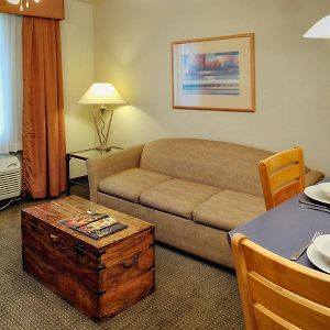One-Bedroom King Suite Sofa Bed